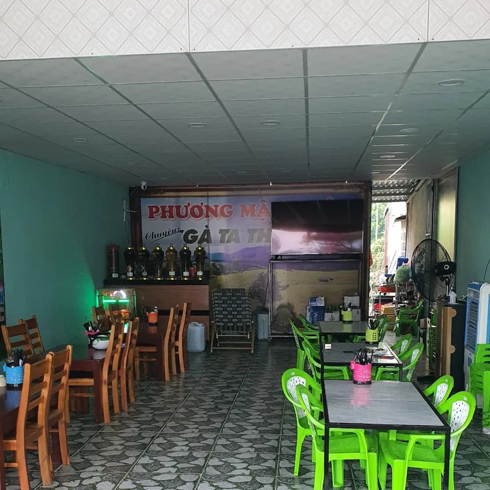 Bầu không khí