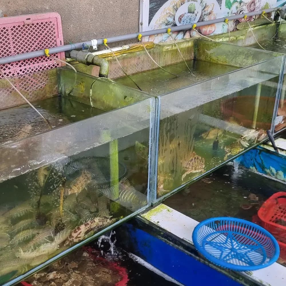 Bầu không khí