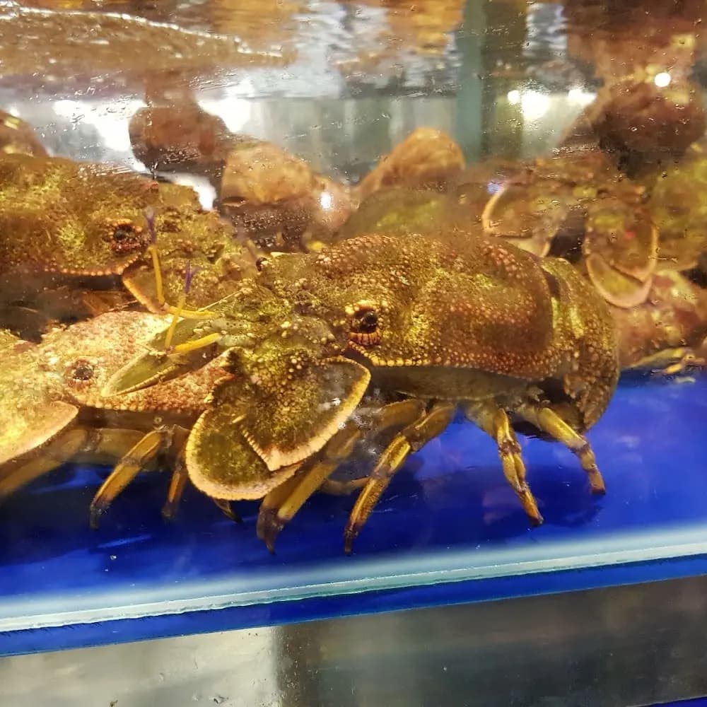 Động vật có vỏ