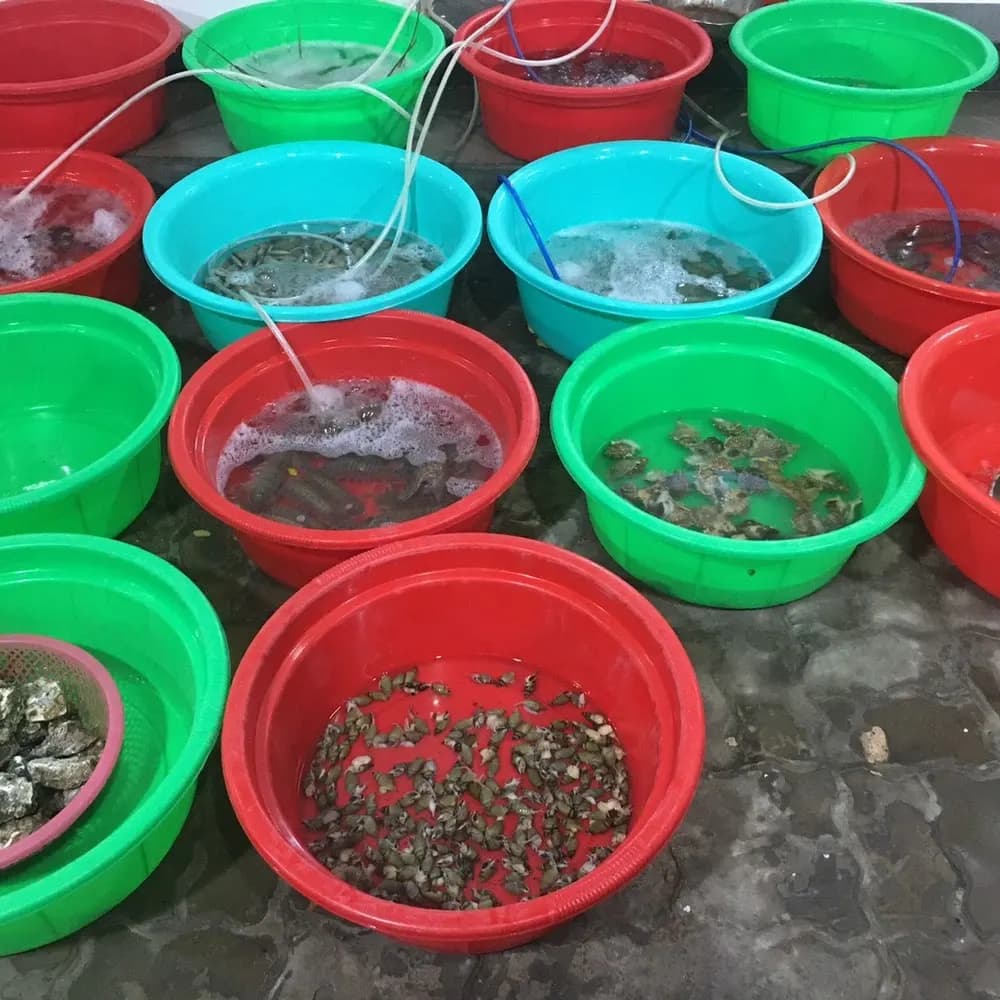 Thực phẩm và đồ uống