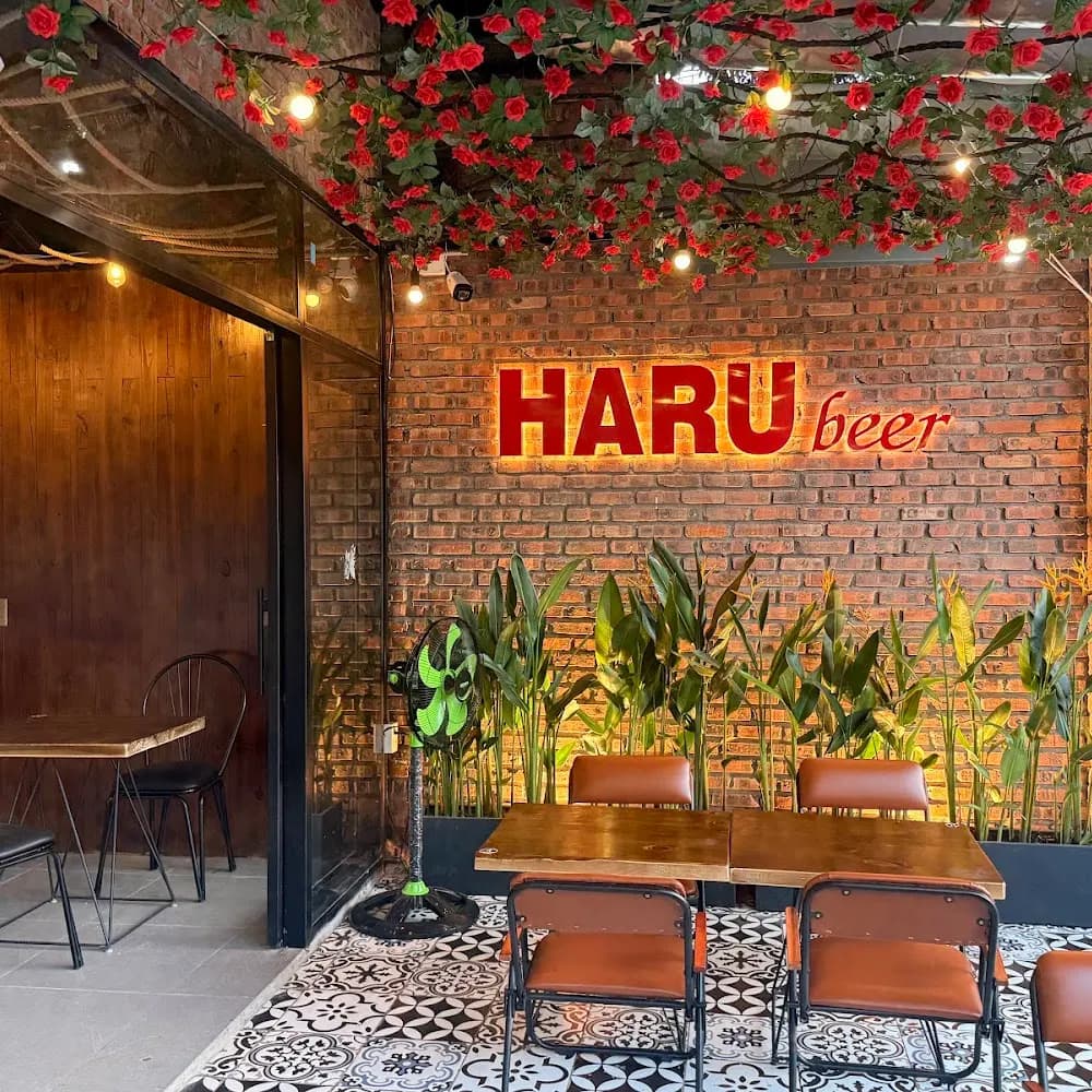 HARU beer