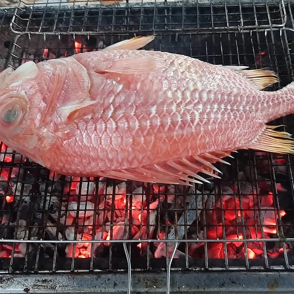 Thực phẩm và đồ uống