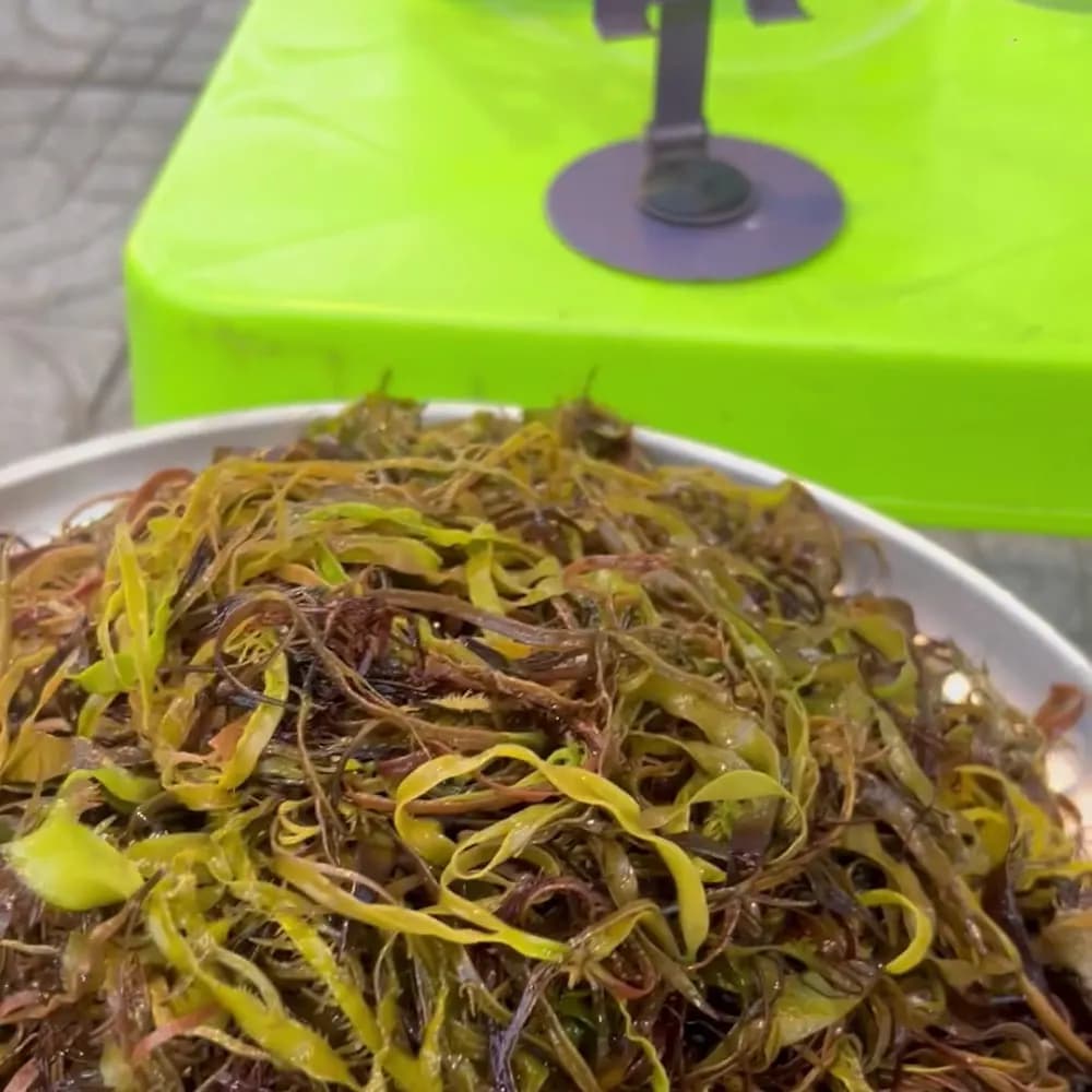 Của chủ sở hữu