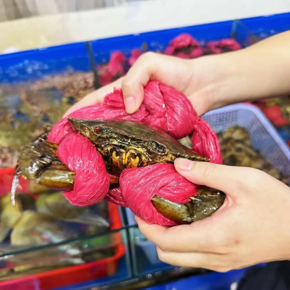 Mới nhất