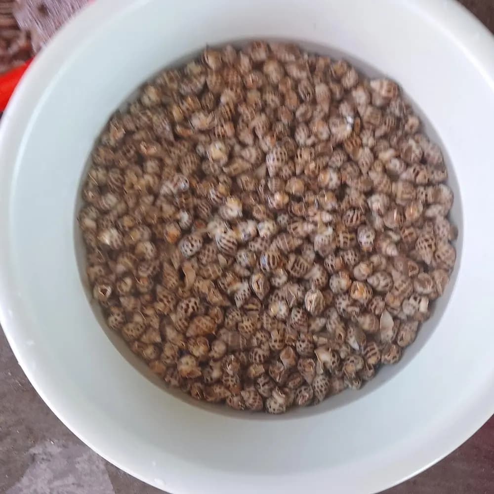 Thực phẩm và đồ uống