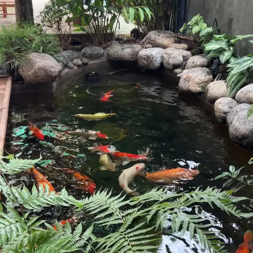 Của chủ sở hữu