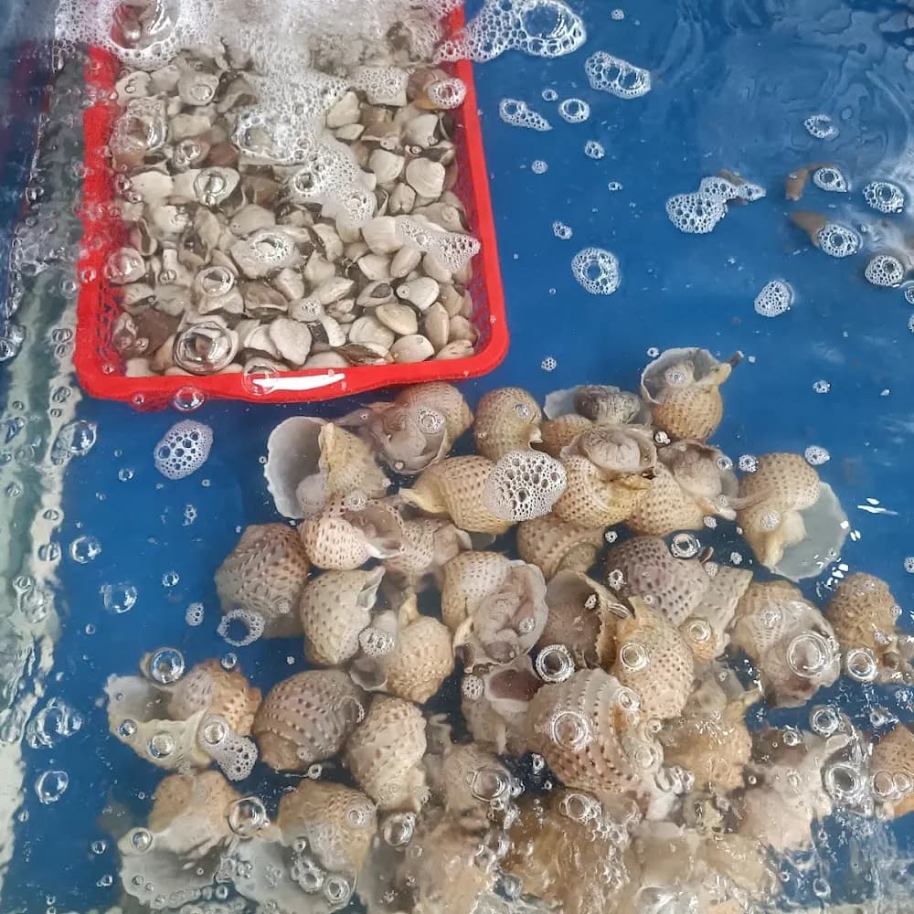 Thực phẩm và đồ uống