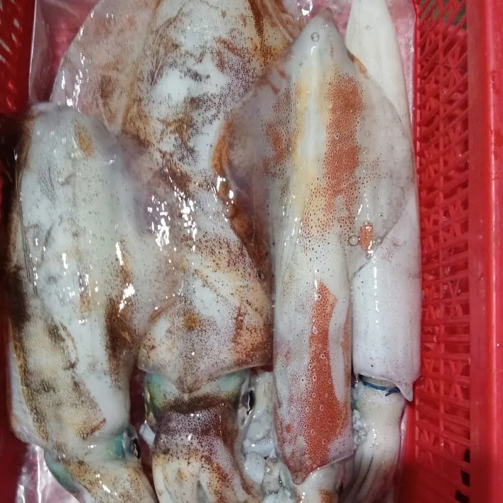 Của chủ sở hữu