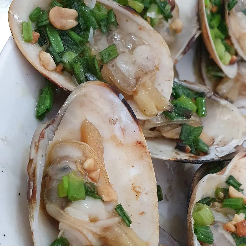 Hàu