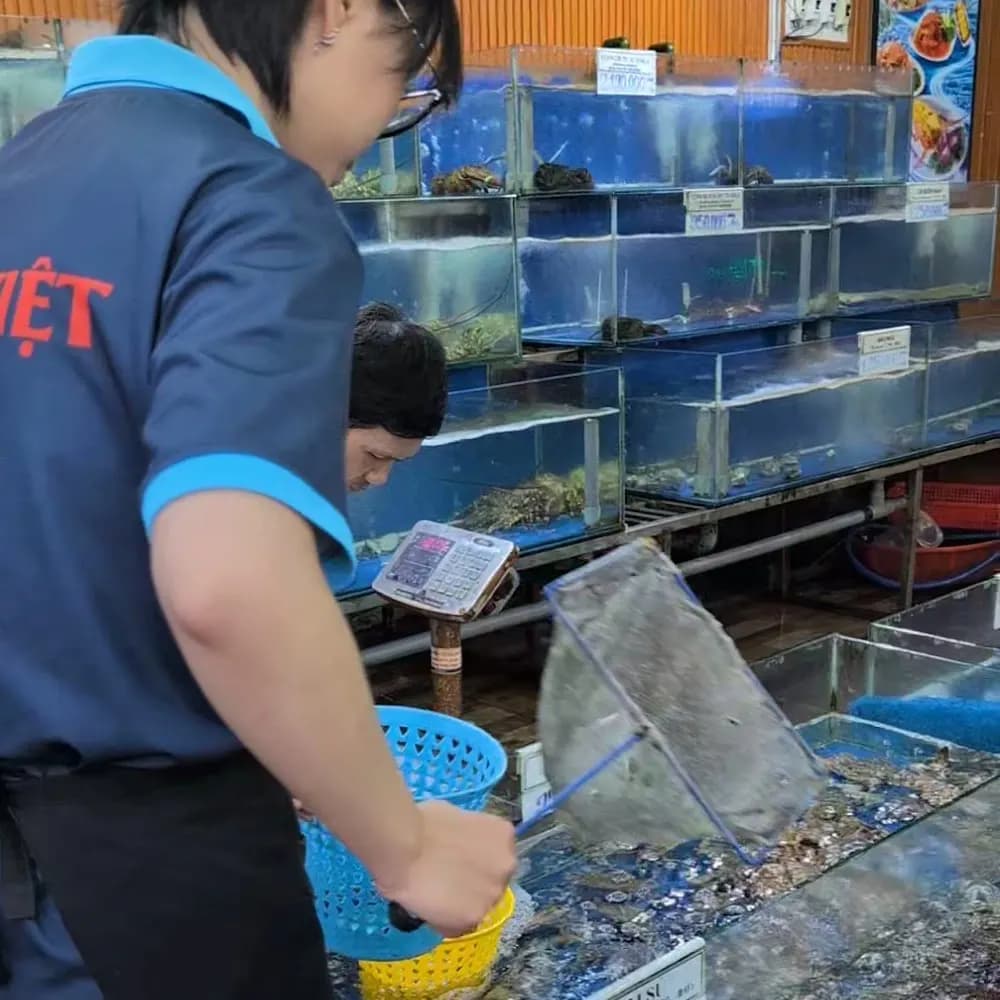 Mới nhất