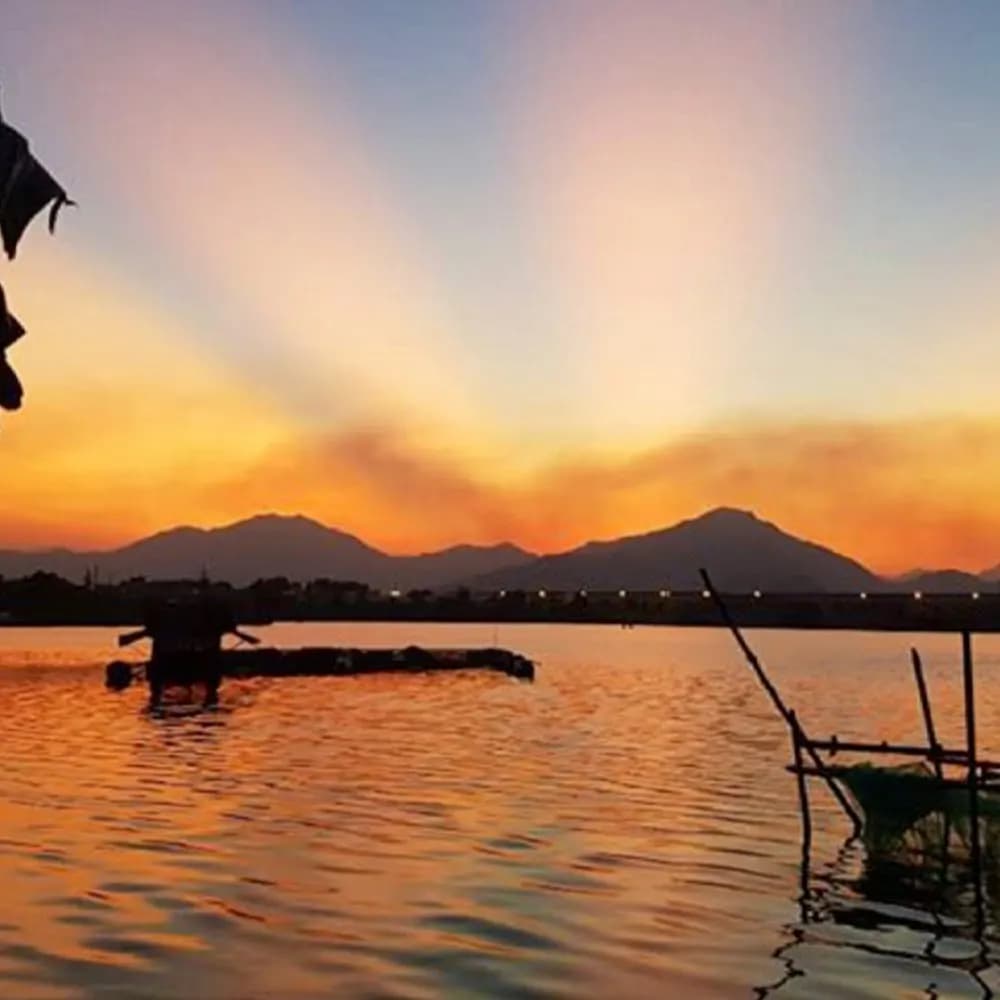 Của chủ sở hữu
