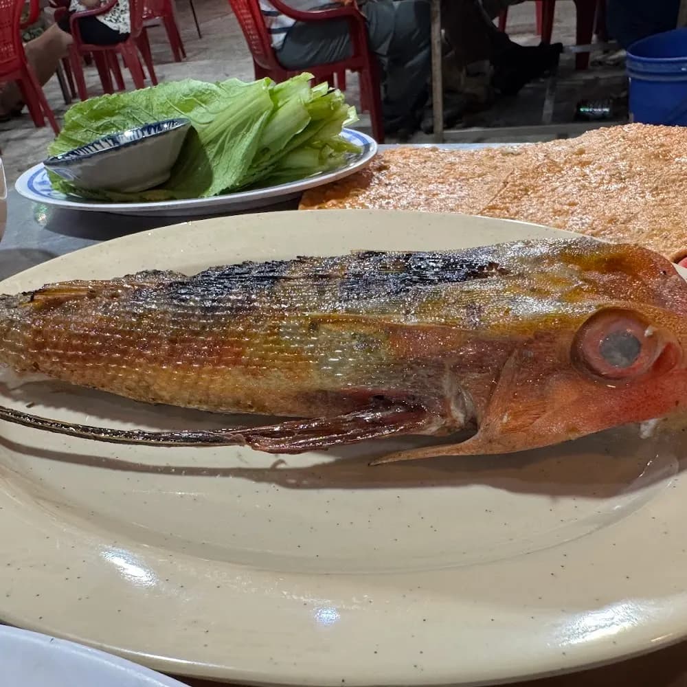 Mới nhất