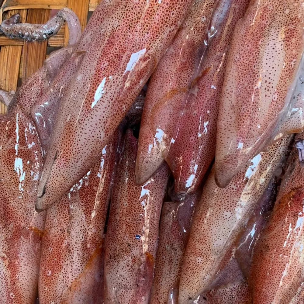 Hải sản