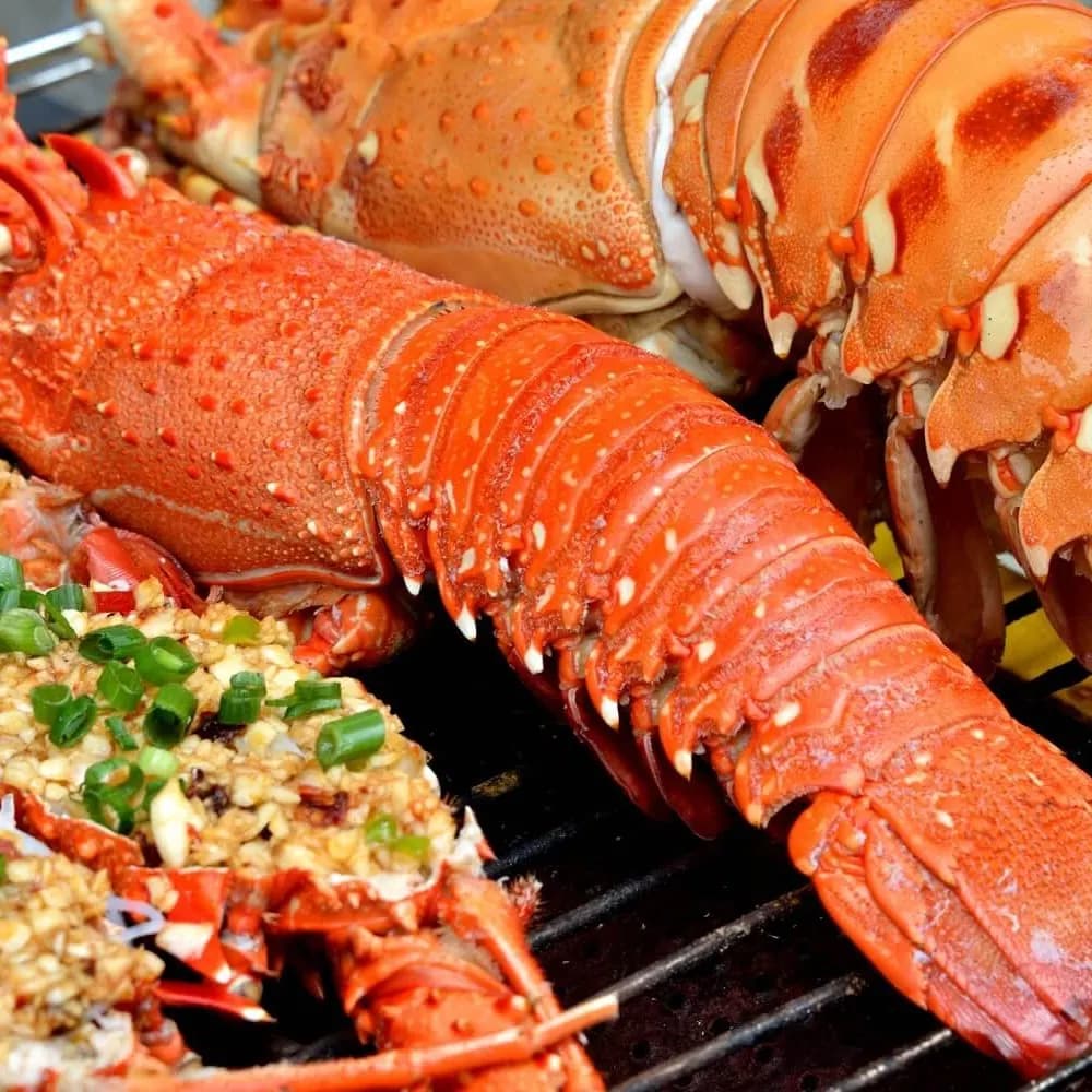 Của chủ sở hữu