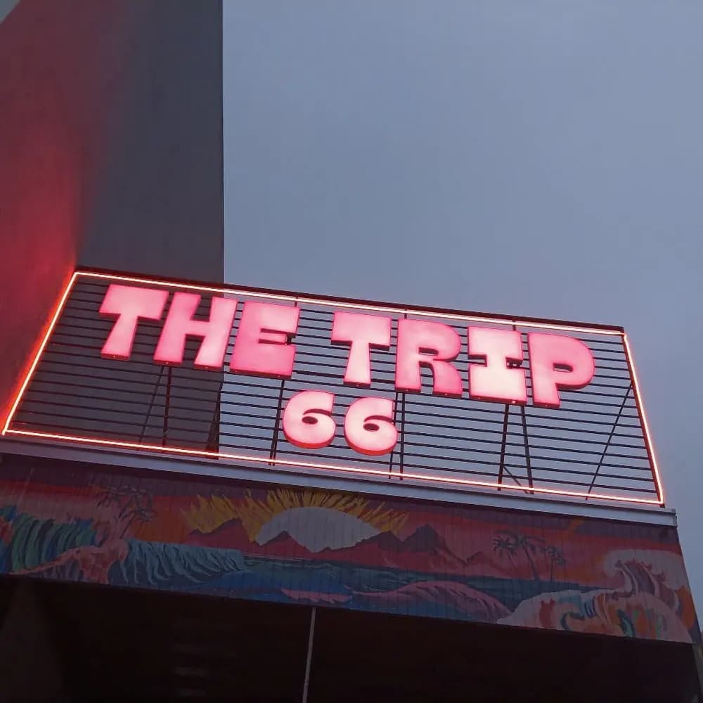 The Trip 66