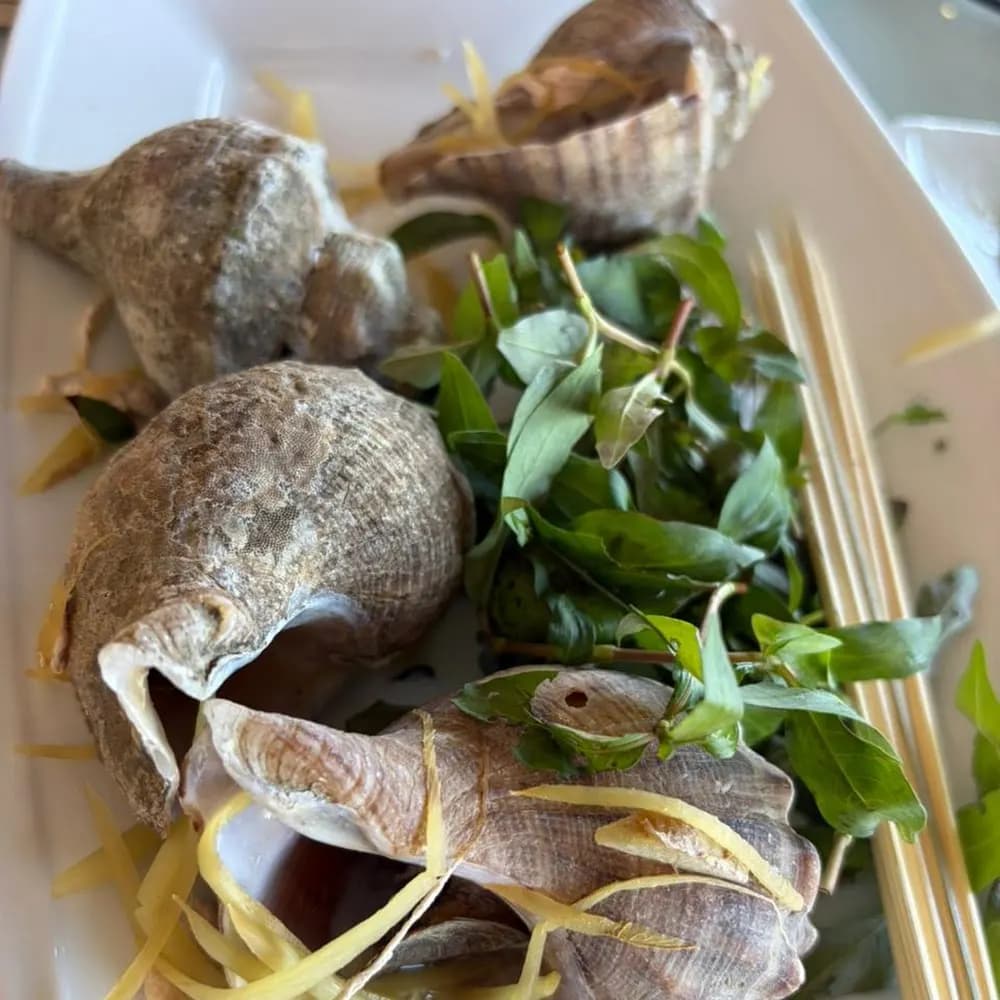 Mới nhất