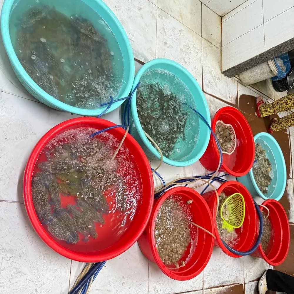 Thực phẩm và đồ uống