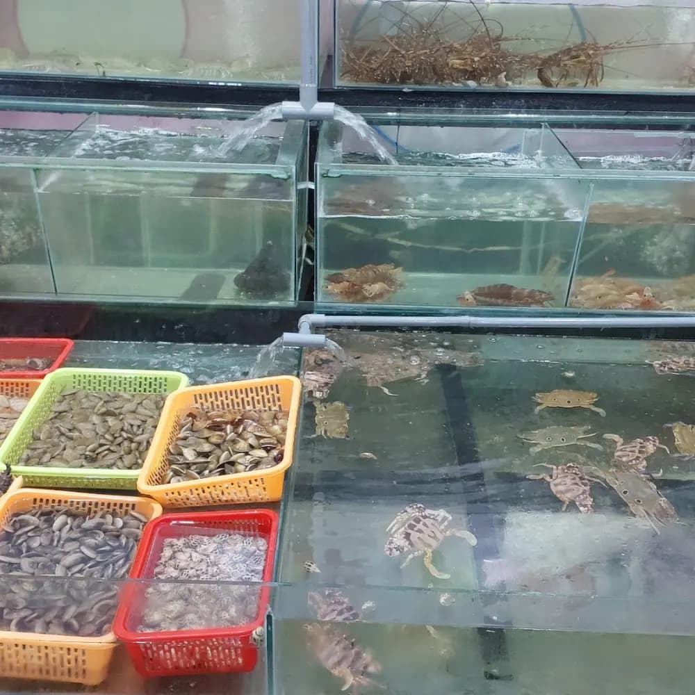 Hải sản câu