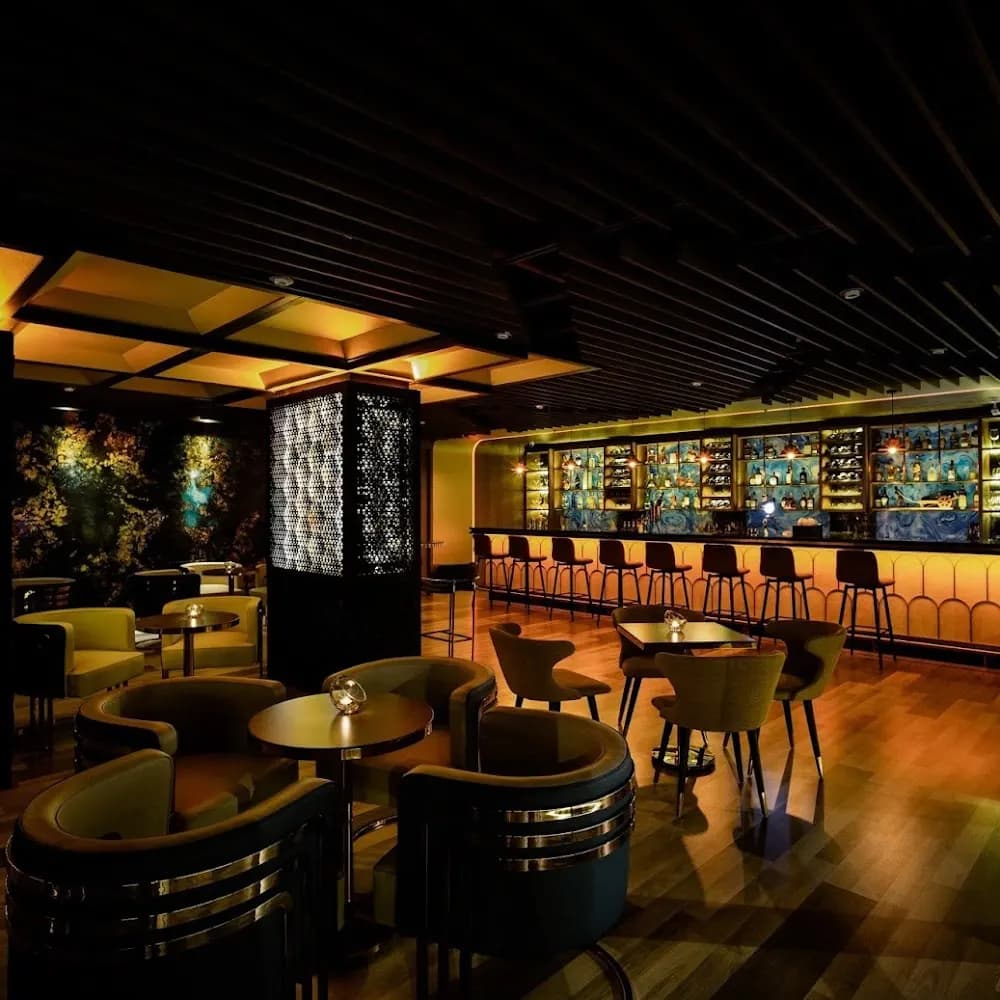 Top View Bar