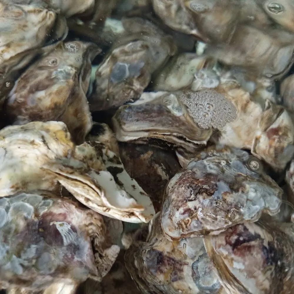 Thực phẩm và đồ uống