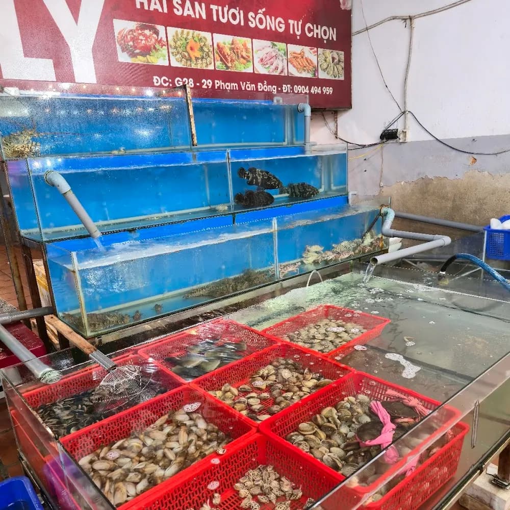 Bầu không khí