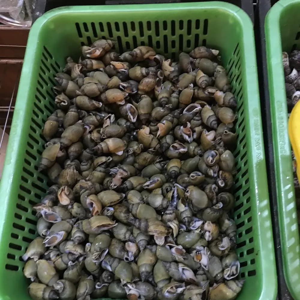 Nghêu