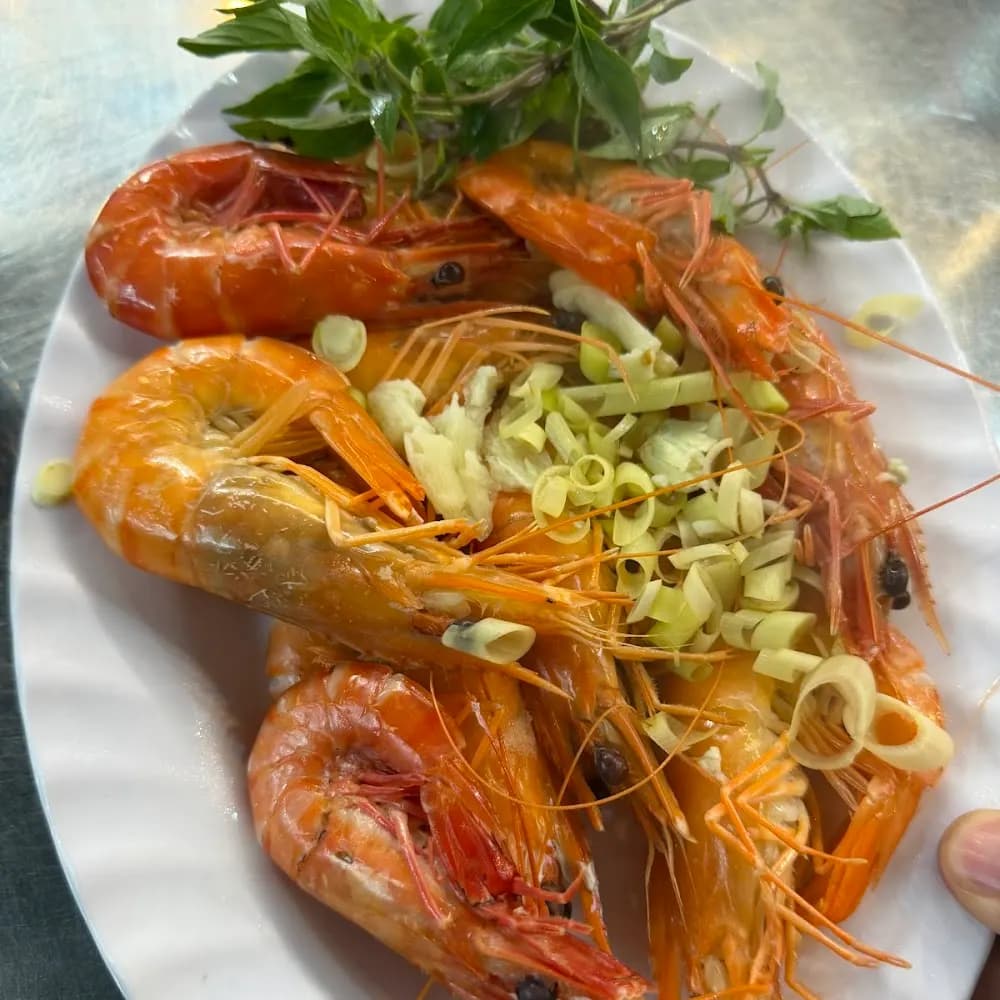 Mới nhất