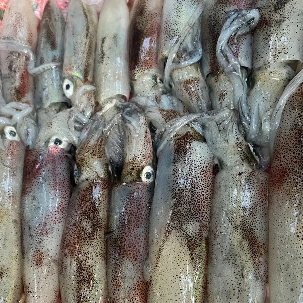 Của chủ sở hữu
